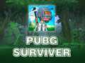 Hra PUBG Survivor