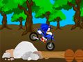 Hra Křížový závod Sonic