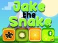 Hra Jake Had
