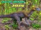 Hra Puzzle nejmenších dinosaurů