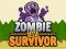Hra Zombie Poslední přeživší