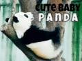 Hra Roztomilá panda
