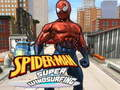 Hra Spider-Man na skateboardu
