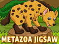 Hra Metazoa Hádanka