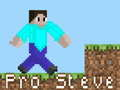Hra Pro Steve