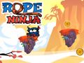 Hra Ninja s lanem