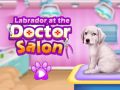Hra Labrador u veterináře