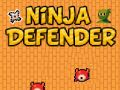 Hra Ninja Obhájce