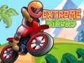 Hra Extrémní Biker