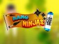 Hra Nano Ninja