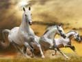 Hra Skluz Running Horse