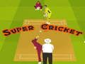 Hra Super Kriket