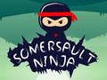 Hra Ninja Přehoz