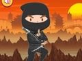 Hra Vyškolená Ninja Hádanka