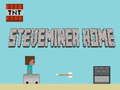 Hra Steveminer Domov