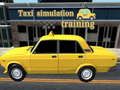 Hra Školení simulace taxi