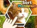 Hra Třídit fotografie