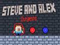 Hra Dungeony Stevea a Alex