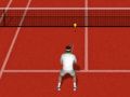 Hra Skutečný Tenis