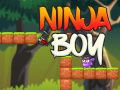 Hra Ninja Kluk