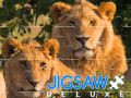 Hra Jigsaw Deluxe