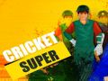 Hra Super Kriket