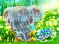 Hra Šťastný Koala