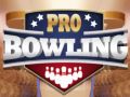 Hra Profesionální bowling Hra Profesionální bowling