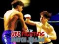 Hra UFC Bojový zápas Puzzle