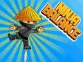 Hra Ninja Rovnováha