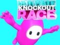 Hra Ultimátní Knockout Závod