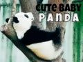 Hra Roztomilá panda