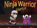 Hra Dobrodružství Ninja Bojovníka