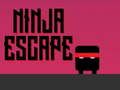 Hra Ninja útěk