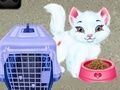 Hra Baby Taylor: Péče o Zvířata