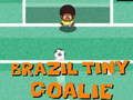 Hra Brazílie Malý Brankář Hra Brazílie Malý Brankář
