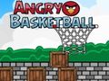 Hra Rozhněvaný Basketbal Hra Rozhněvaný Basketbal