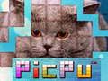 Hra PicPu Kočka