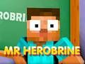 Hra Pan Herobrine