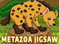 Hra Metazoa Hádanka