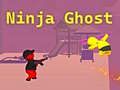 Hra Ninja Duch