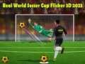 Hra Skutečný Světový Pohár ve Fotbale Flicker 3D 2023 Hra Skutečný Světový Pohár ve Fotbale Flicker 3D 2023