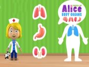 Hra Svět tělesných orgánů Alice
