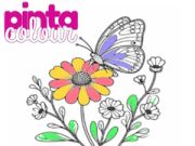 Hra Pinta Barva