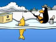 Hra Club Penguin: Rybaření na ledu Hra Club Penguin: Rybaření na ledu
