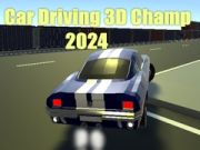 Hra Šampion Jízdy Automobilů 3D 2024