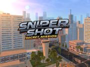 Hra Secret Mission: Sniper Shot