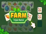 Hra Fermat: Triple Match