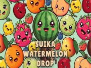 Hra Watermelon Drop