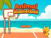 Hra Basketbal zvířat
